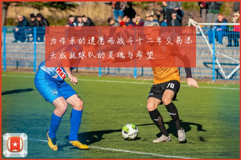 为母亲的遗愿而战斗十二年交易添头成就球队的灵魂与希望